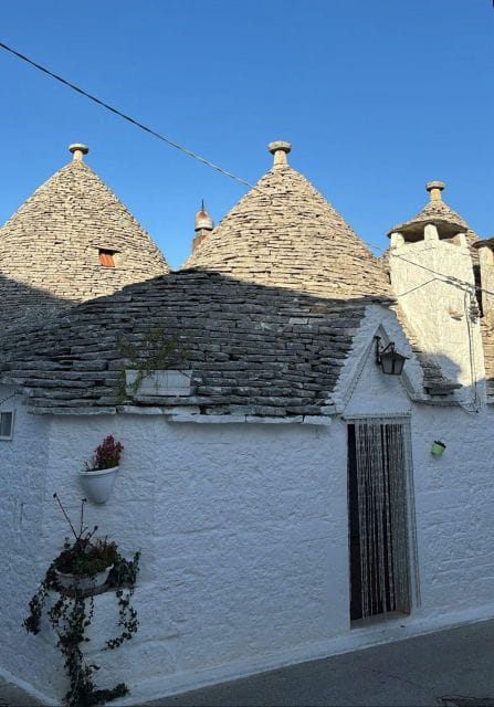 From Gallipoli or Lecce Province: Ostuni and Alberobello - Who Is This Tour Best For?