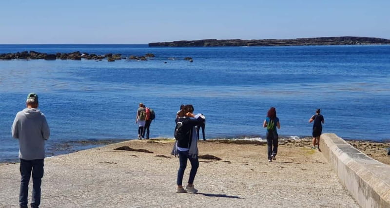 From Galway; Aran Islands day Tour & Cliffs of Moher cruise - Key points/Takeaways