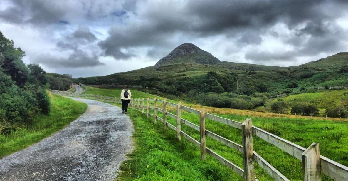 From Galway: Connemara and Connemara National Park Day Trip - Experience and Features
