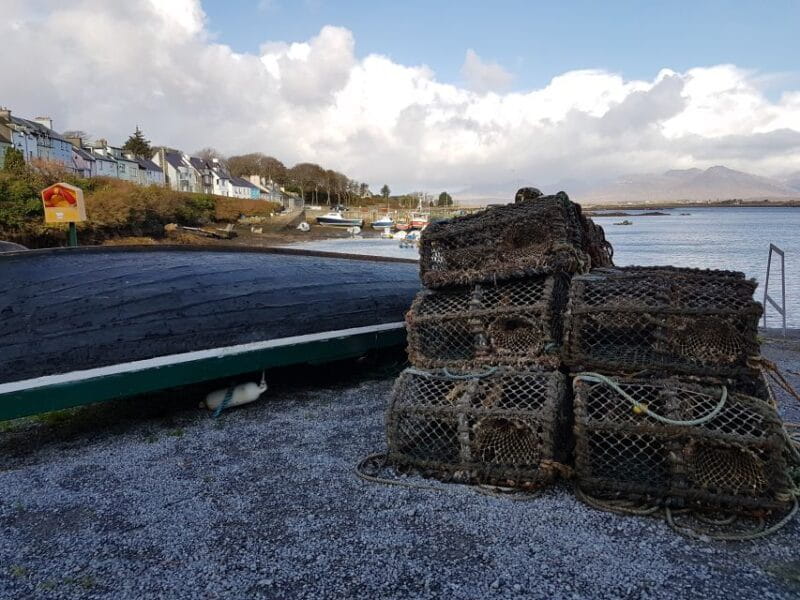 From Galway: Connemara and Kylemore Abbey Day Tour - Key Points and Takeaways