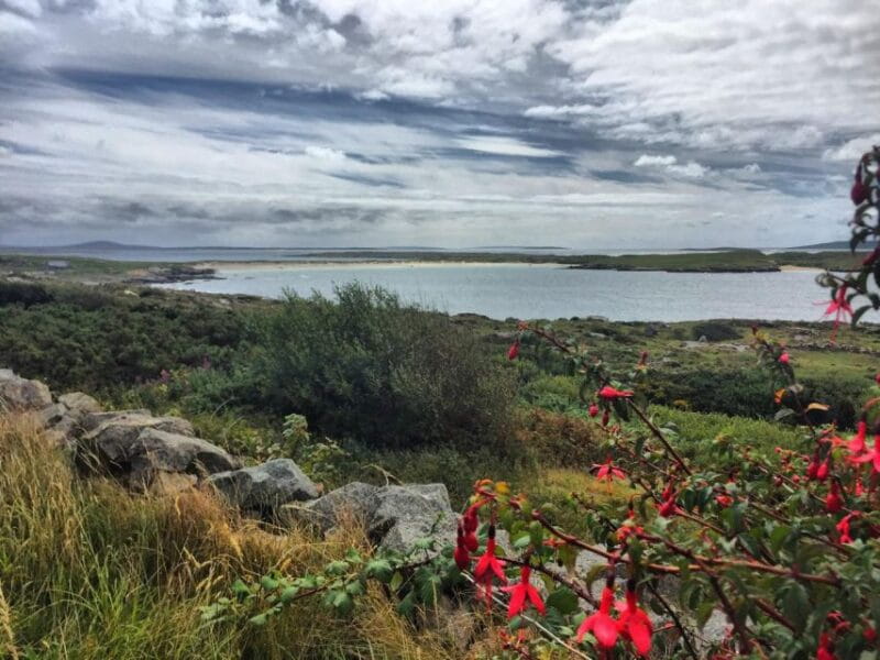 From Galway: Connemara and Kylemore Abbey Day Tour - The Sky Road: Panoramic Perfection