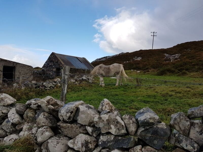 From Galway: Connemara and Kylemore Abbey Day Tour - Final Thoughts