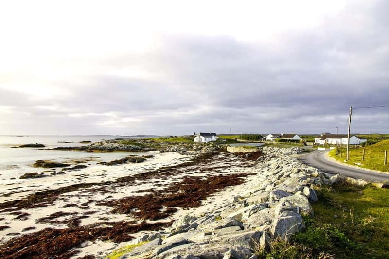 From Galway: Connemara, Aran Islands, Cruise & Burren tour - Final Thoughts: Is This Tour Worth It?