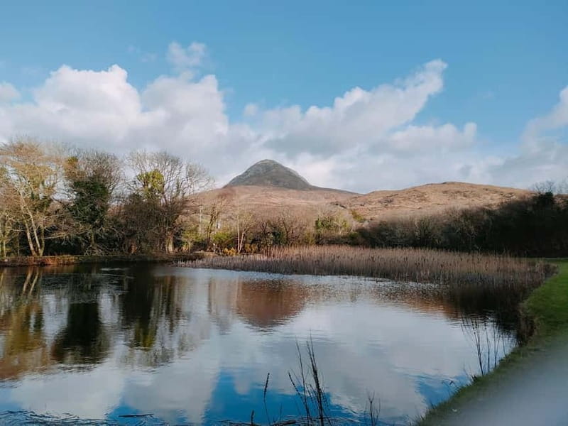 From Galway: Connemara, Kylemore Abbey & Castles 1 Day Tour - Who Will Get the Most Out of This Tour?