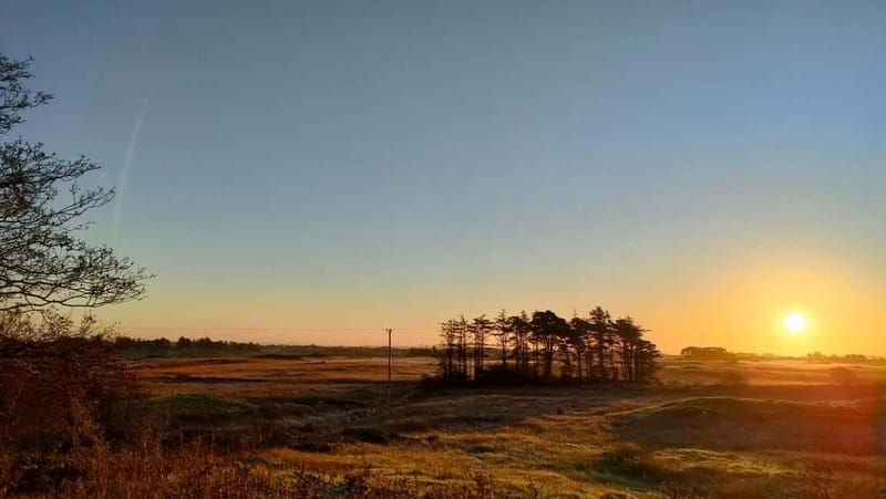 From Galway: Connemara, Kylemore Abbey & Castles 1 Day Tour - Final Thoughts: Is This Tour Right for You?