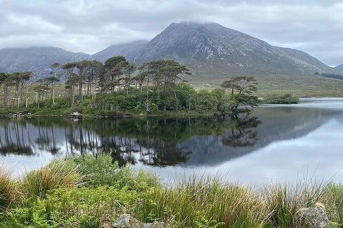 From Galway: Connemara, Kylemore Abbey & Castles 1 Day Tour - Clifden: The Heart of Connemara