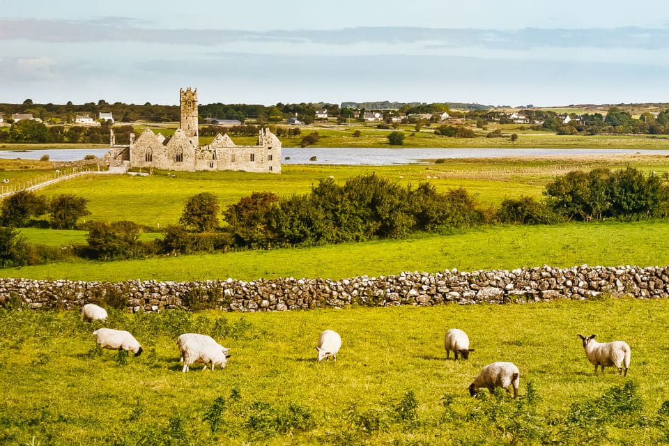 From Galway: Connemara & Kylemore Abbey Full-Day Guided Tour - What to Bring