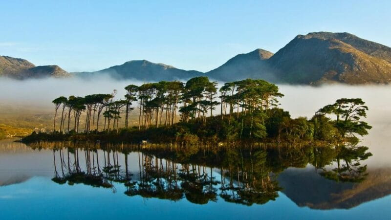 From Galway: Connemara, Kylemore Abbey or National Park Tour - The Sum Up