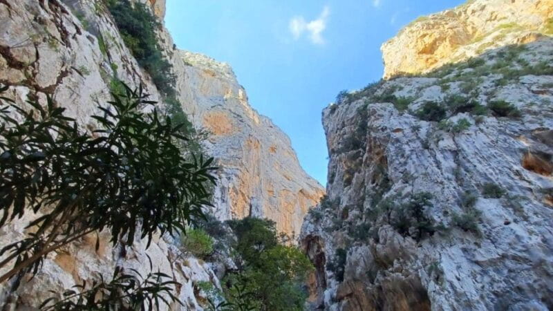 From Genna Silana: Canyon of Gorropu Guided Hike - Who Should Consider This Experience?