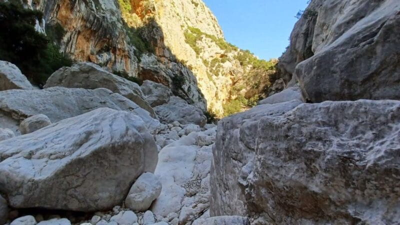 From Genna Silana: Canyon of Gorropu Guided Hike - The Sum Up