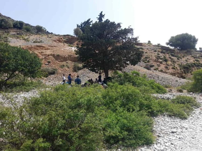 From Georgioupoli: Easy Hiking Day-Trip to Imbros Gorge - Who Will Love This Tour?