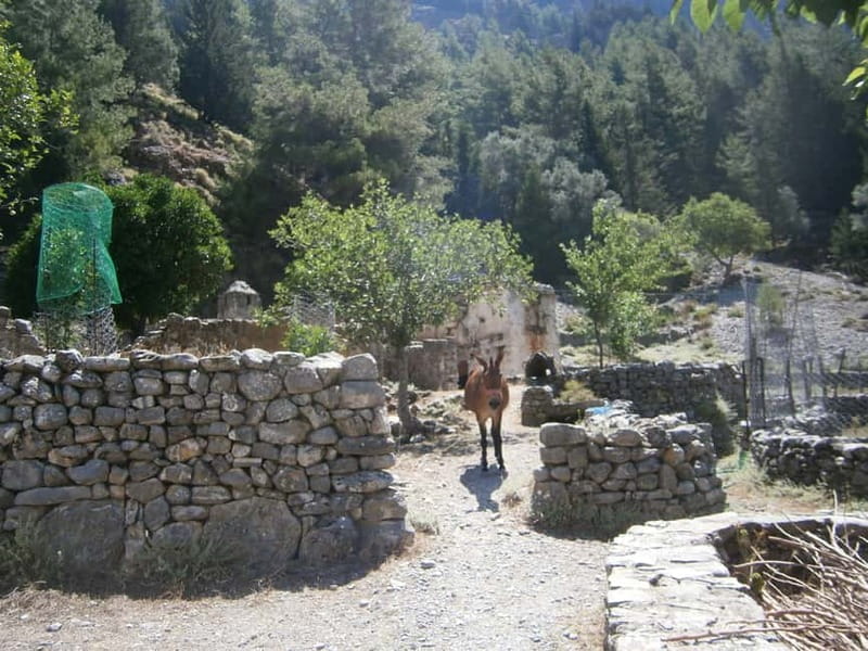 From Georgioupolis: Roundtrip Transfer to Samaria Gorge - Entering the Gorge: Meeting the Iron Gates