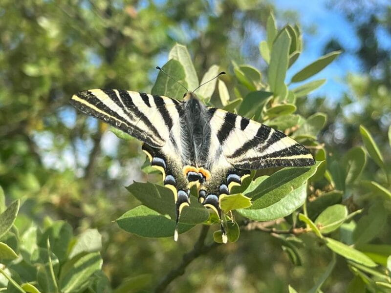 From Gijón or Oviedo: Somiedo Natural Park Day Trip - Exploring Somiedo Natural Park: An Authentic Asturias Day