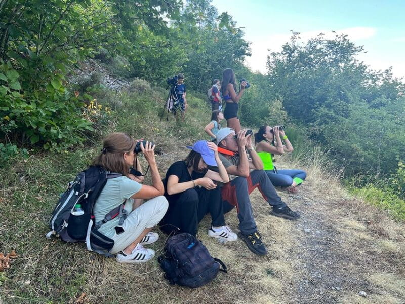 From Gijón, Oviedo or Pola de Somiedo: Brown Bear Spotting - Discovering the Wild Side of Asturias: Brown Bear Spotting in Somiedo