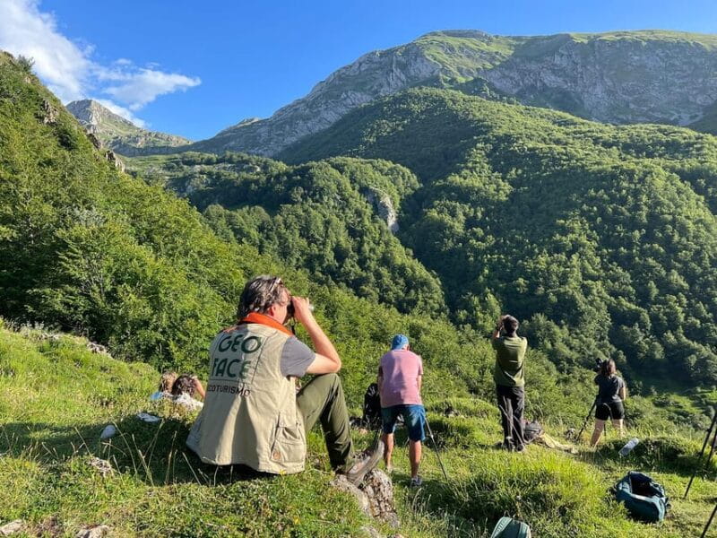 From Gijón, Oviedo or Pola de Somiedo: Brown Bear Spotting - Frequently Asked Questions