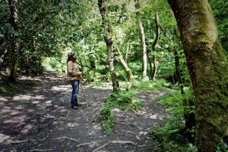 From Glastonbury: 2-Day Tintagel, Boscastle & Dartmoor Tour - Uncovering a Treasure Trove of Legends and Landscapes