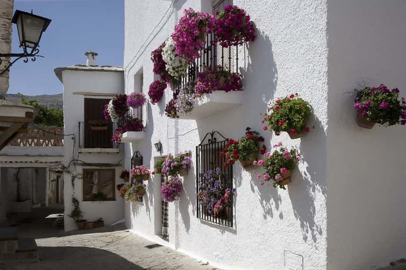From Granada: Alpujarra Mountain Villages Tour - Exploring the Alpujarra: A Journey Through Andalusian Charm