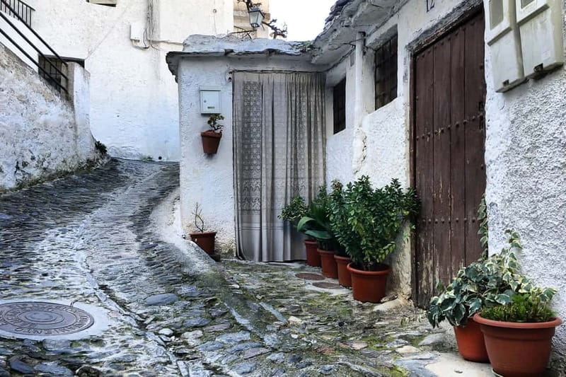 From Granada: Alpujarra Mountain Villages Tour - Price and Logistics: Good Value for a Full-Day Experience