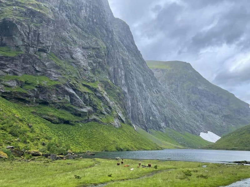 From Hellesylt: Electric Car Experience to Norangsdalen - Who Will Love This Tour?