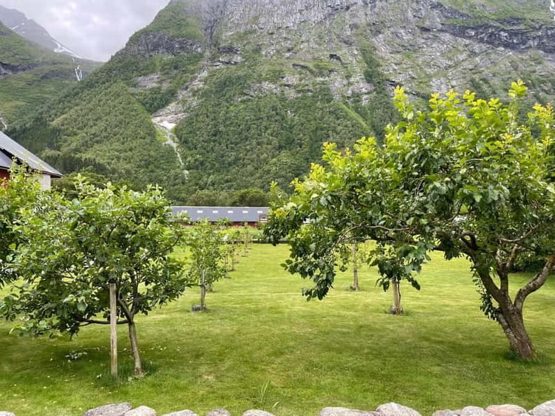 From Hellesylt: Electric Car Experience to Norangsdalen - Price and Value