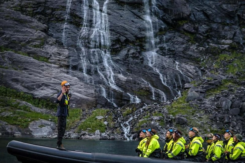 From Hellesylt: Experience Fjordsafari Geirangerfjord on RIB - Who Should Consider This Tour?