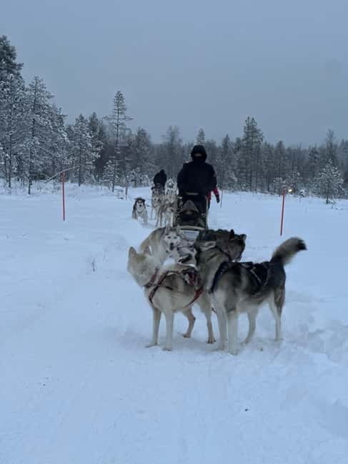 From Helsinki: 7-Day Lapland Northern Lights Tour - Price and Value