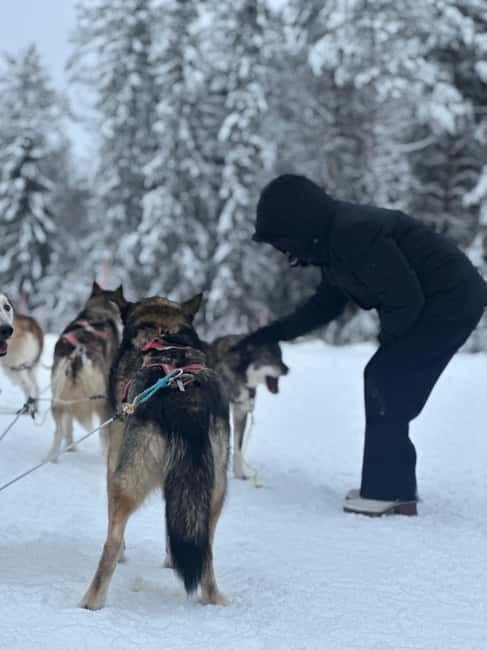 From Helsinki: 7-Day Lapland Northern Lights Tour - Final Thoughts