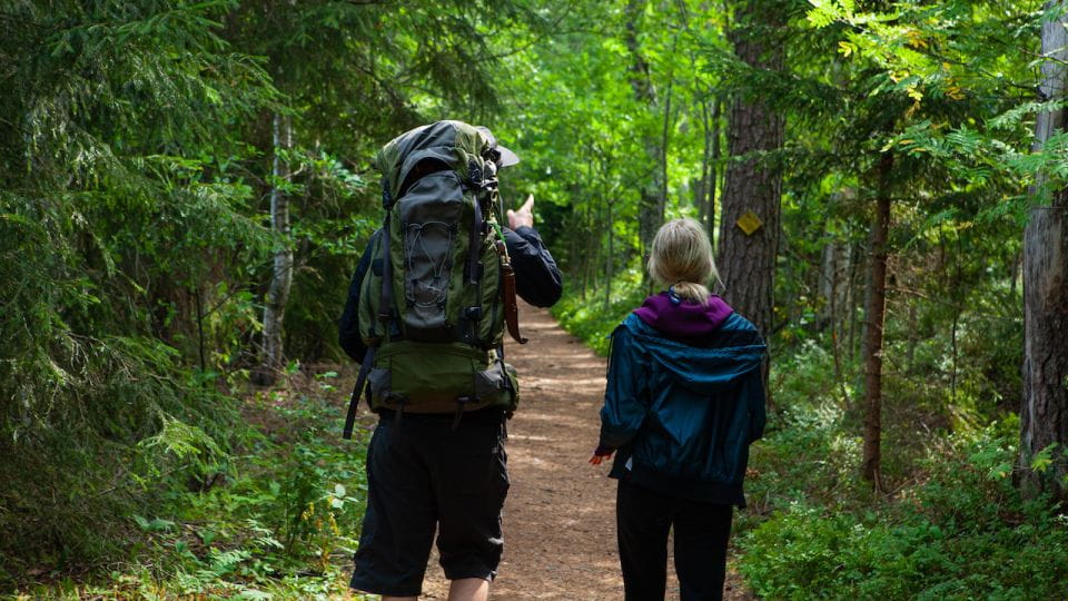 From Helsinki: Berry Picking Day Trip in a National Park - Foraging Wild Berries