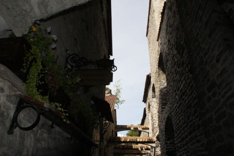 From Helsinki: Guided Day Trip to Tallinn by Ferry & VIP Car - Practical Tips for a Smooth Trip