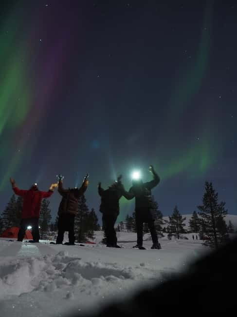 From Helsinki: Guided Forest Walk in the dark with campfire - Entering the Forest: What to Expect