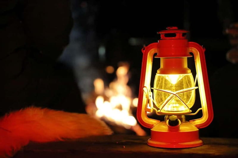 From Helsinki: Guided Forest Walk in the dark with campfire - Value and Cost Analysis