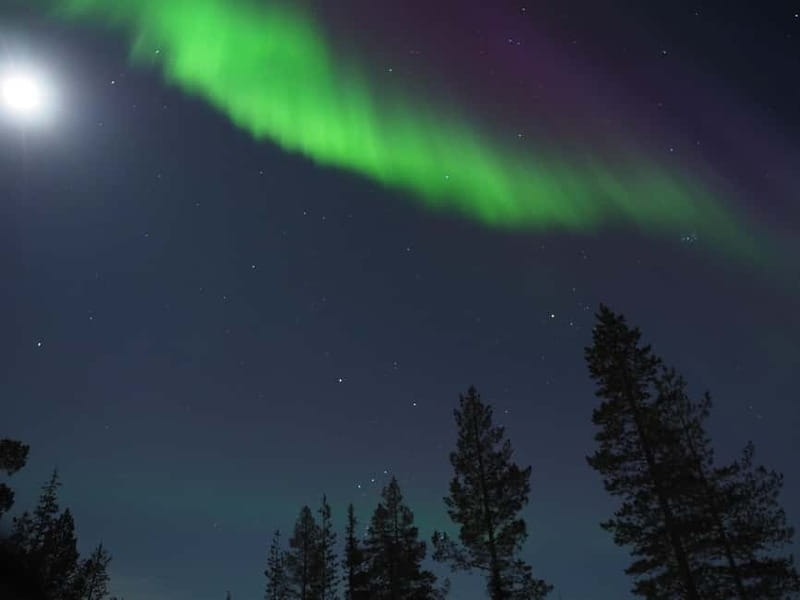 From Helsinki: Guided Forest Walk in the dark with campfire - The Sum Up: Why You Should Consider This Experience