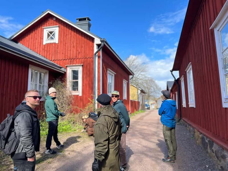 From Helsinki: Raasepori Castle Ruins & Ekenäs Old Town - The Pizza Tasting at YLP!