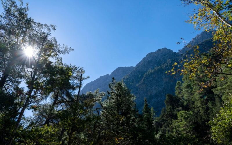 From Heraklion: Majestic Guided Hike through Samaria Gorge - Scenic Boat Ride and Return Journey