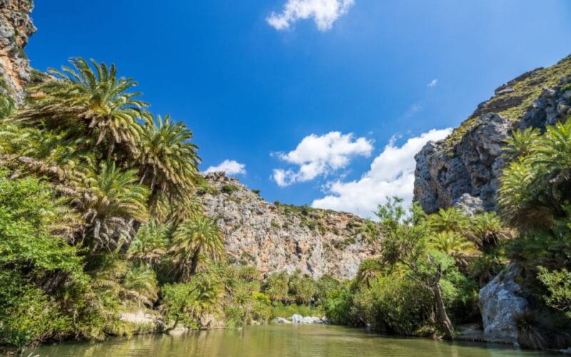 From Heraklion: Preveli Natural Palm Forest & Exotic Beach - Final Thoughts