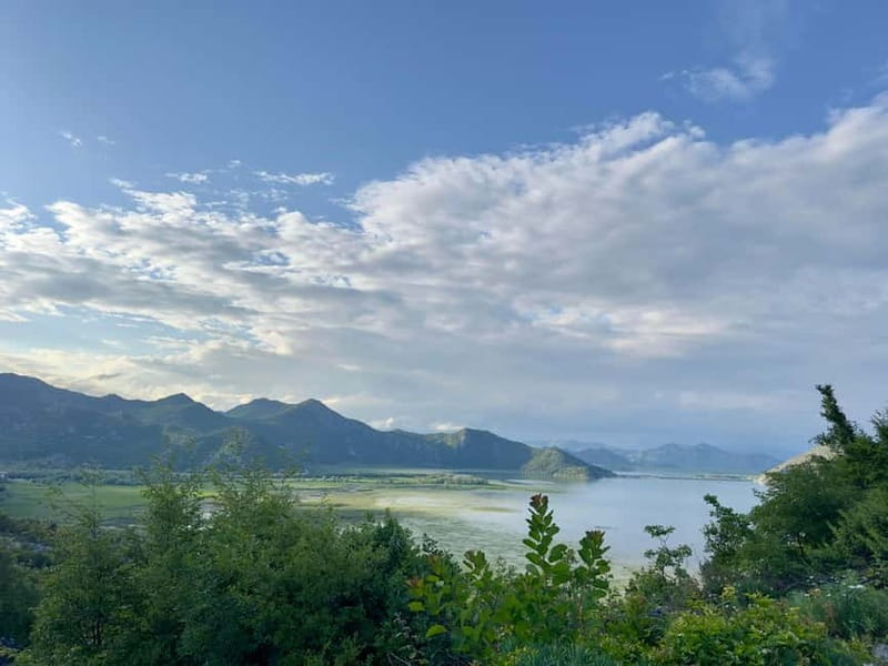 From Herceg Novi: Private Tour to Skadar Lake - A Detailed Look at the Herceg Novi to Skadar Lake Private Tour