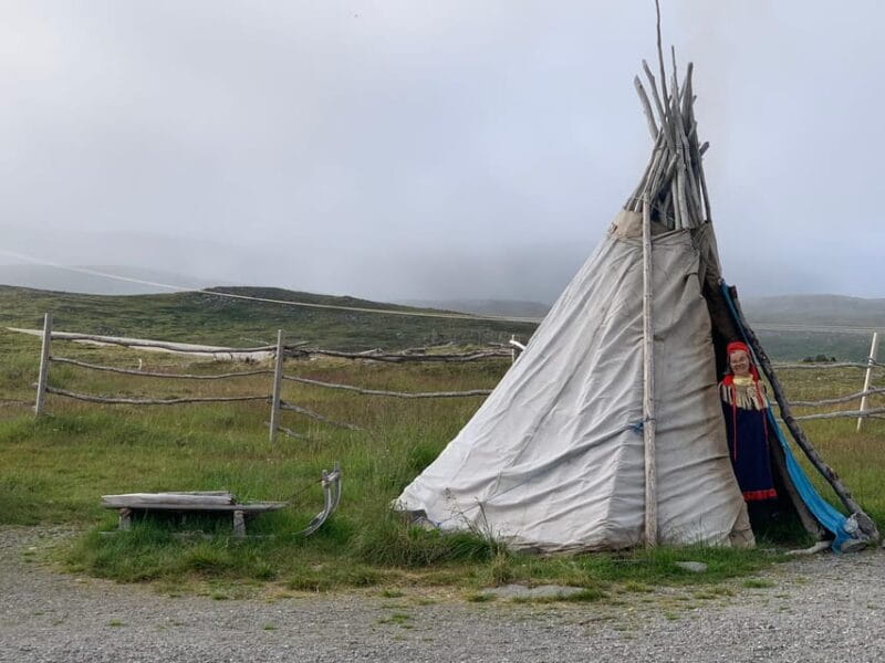 From Honningsvåg: VIP North Cape and Kingcrab Tour - Tasting Arctic Flavors: Gastronomy and Local Delicacies