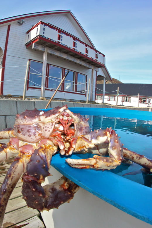 From Honningsvåg: VIP North Cape and Kingcrab Tour - The Sum Up: A Well-Rounded Arctic Adventure