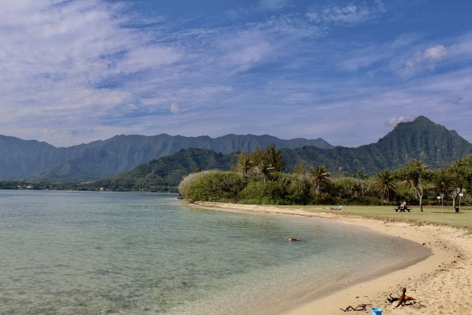 From Honolulu: Epic Island Tour - Tropical Farms and Samples