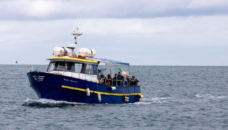 From Howth: Ferry to Dún Laoghaire - Who Will Love This Experience?