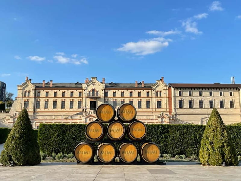From Iai: Mimi Castle Wine Tasting Day Trip - Exploring Moldova’s Hidden Gems: The Full Experience