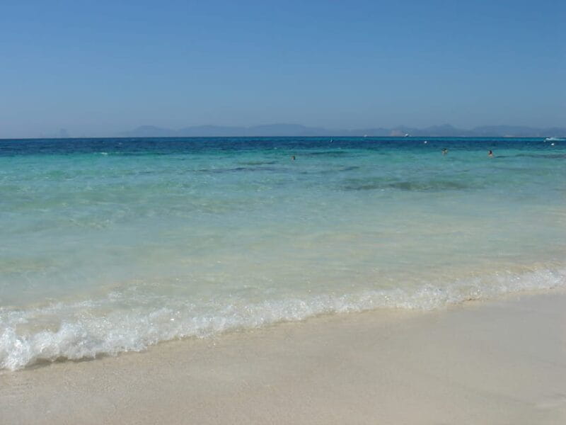 From Ibiza: Ferry and Guided Bus Excursion in Formentera - Who Would Love This Tour?