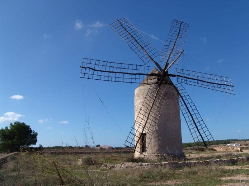 From Ibiza: Ferry and Guided Bus Excursion in Formentera - FAQs