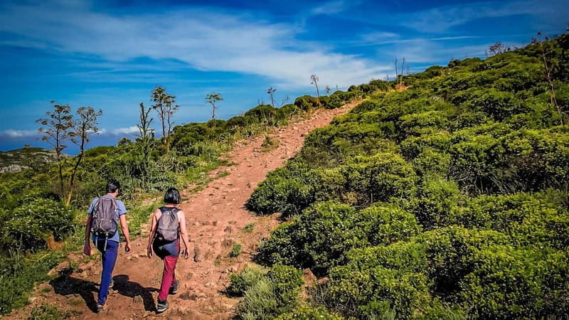 From Iglesias: jeep tour with trekking - Key points / Takeaways