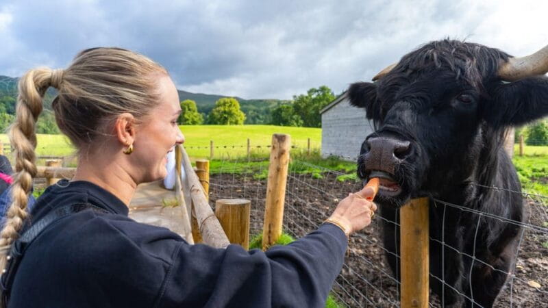 From Inverness: Cawdor Castle, Clava Cairns & The Cairngorms - Key Points / Takeaways