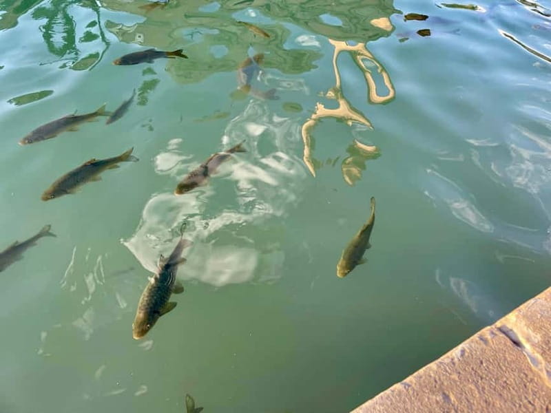 from Istanbul: anlurfa, Göbeklitepe & Balklgöl Day Trip - Exploring Southeastern Turkey in a Day: Anlurfa, Göbeklitepe & Balklgöl