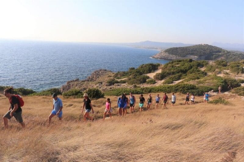 From Kalamata: Day Trip Hike to Gialova Lagoon with Dinner - Tasting Greek Flavors: Dinner at a Traditional Seaside Taverna