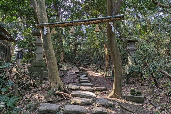 From Kanazawa: Fukuis Stunning Cliffs, Spiritual Island & Port - Itinerary and Schedule Details