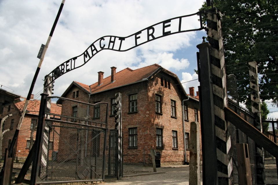 From Katowice: Auschwitz-Birkenau Skip-the-Line Guided Tour - Participant Reviews and Ratings