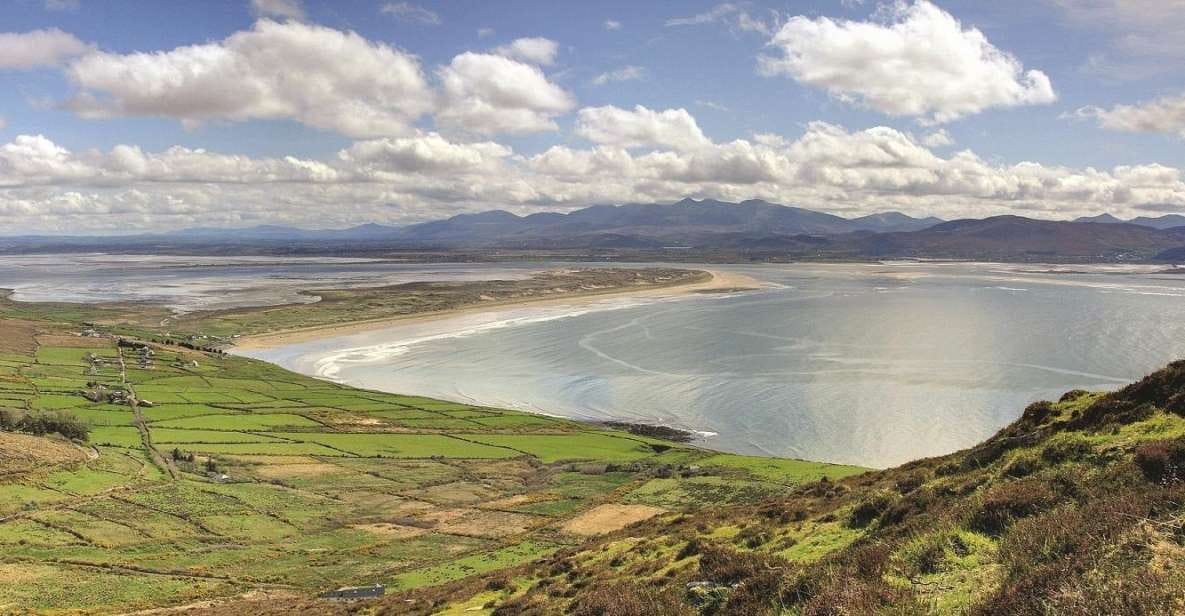 From Killarney: Day Trip to Dingle - Customer Reviews